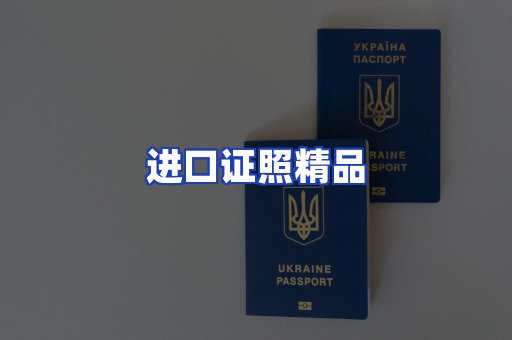 进口证件页面制证