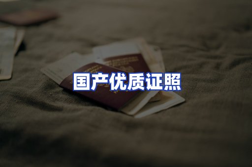 国产优质证照